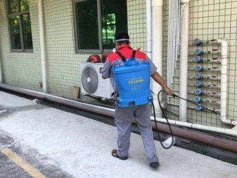 深圳臭蟲防治 工廠、宿舍、辦公室與家庭全面消殺指南
